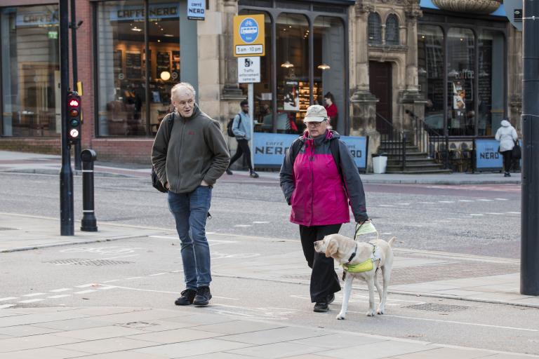 Person walking with guide dog in urban area